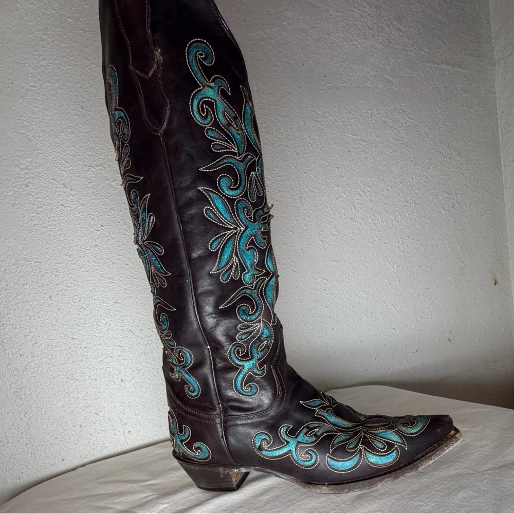 Stetson Women's Brown and Blue Boots